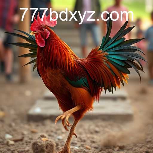 777BD